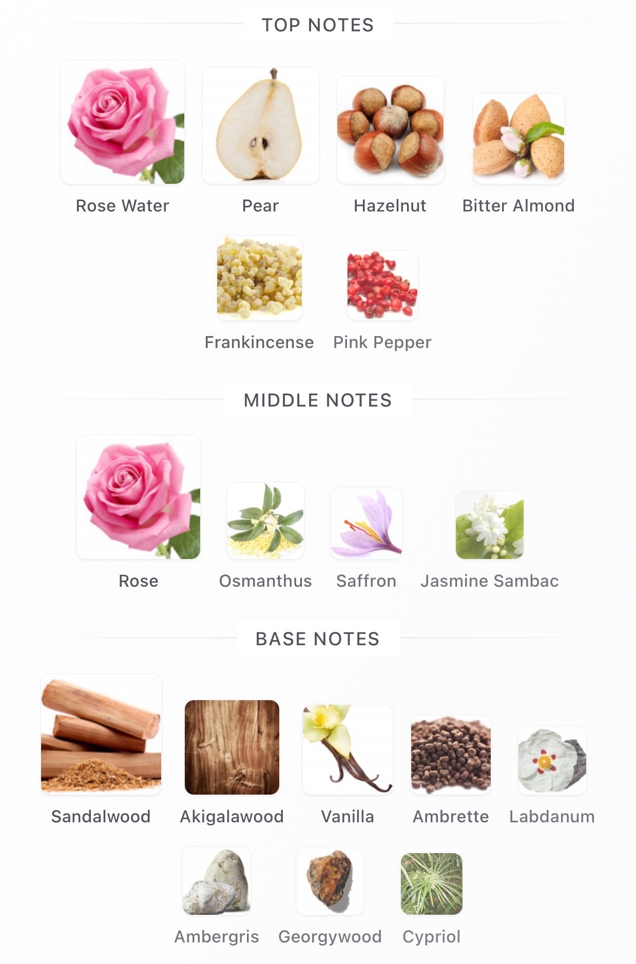 Amouage Guidance 46