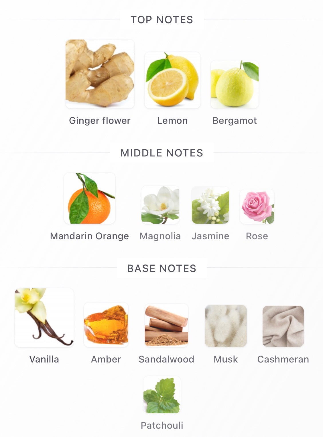 Goldfield & Banks Ingenious Ginger
