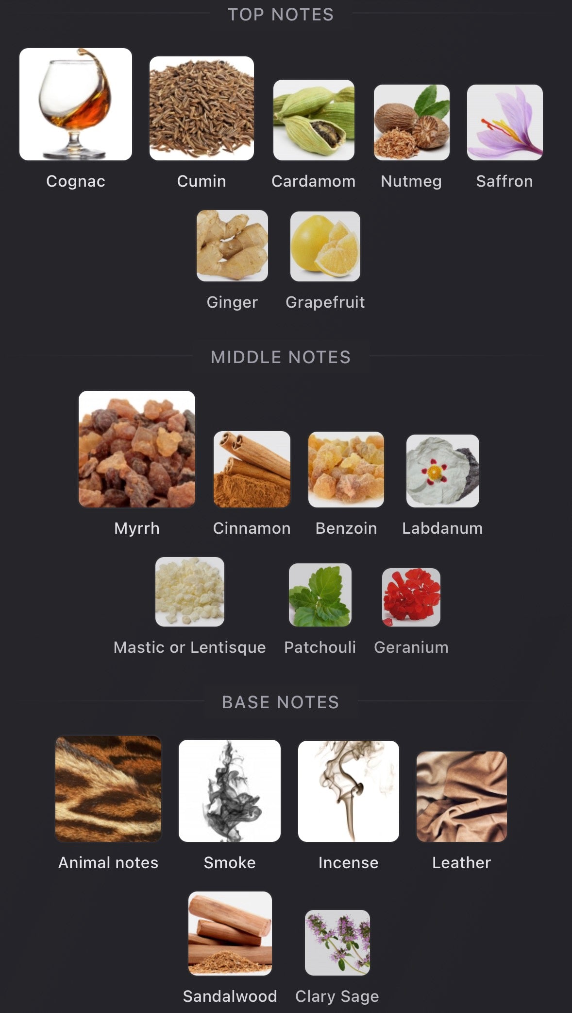 Amouage Overture Man