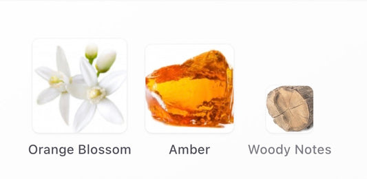 Louis Vuitton Stellar Times