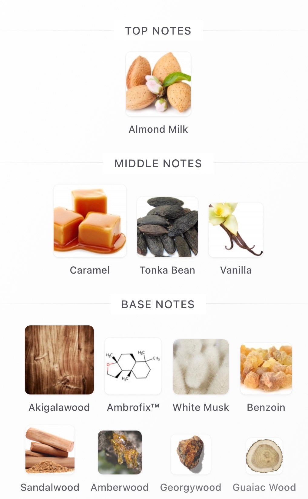 Essential Parfums Ambre Latte
