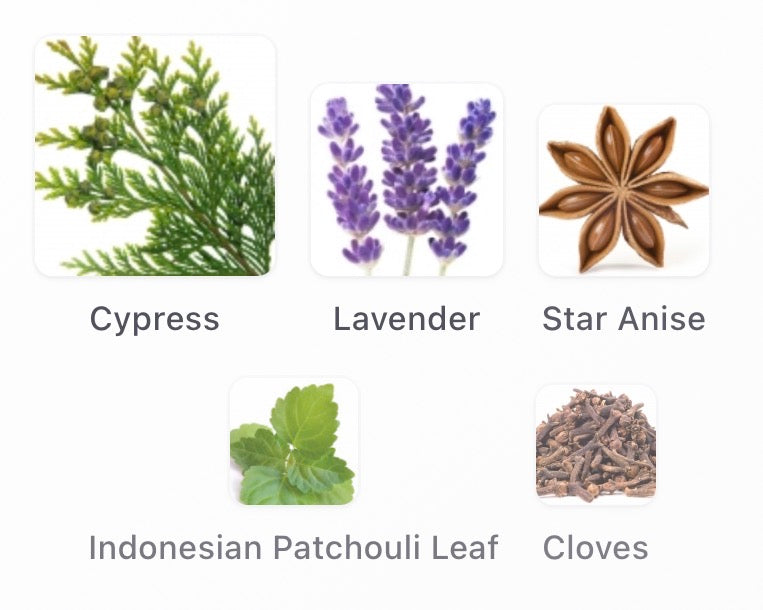 Goldfield & Banks Blue Cypress