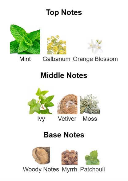 Amouage - Beach Hut Man