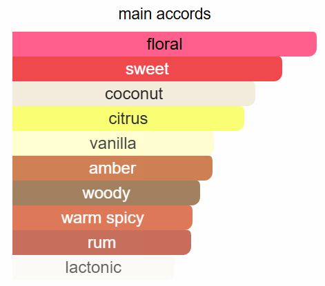 City Rhythm Miami Tropical Confessions