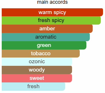 City Rhythm Manhattan Midnight
