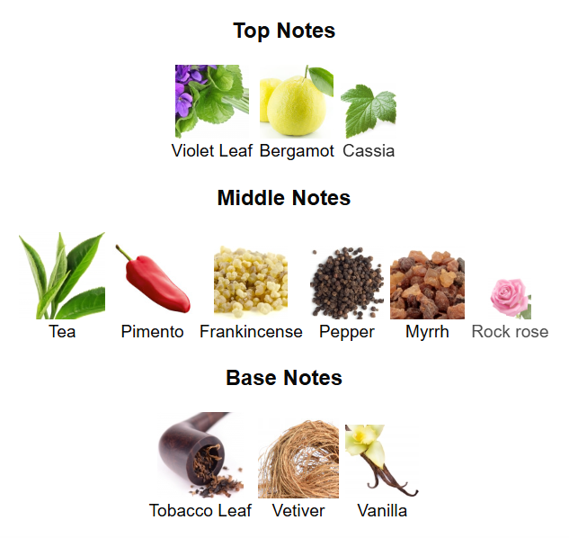 City Rhythm Manhattan Midnight