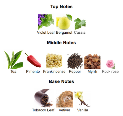 City Rhythm Manhattan Midnight