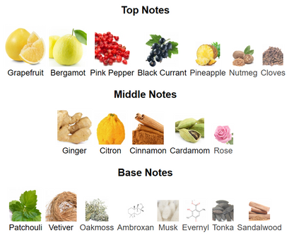 Creed Absolu Aventus