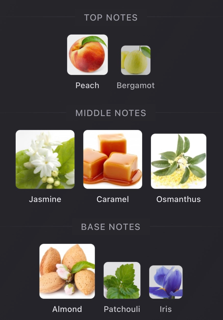 Gissah Martinique Osmanthus (Pre-order)
