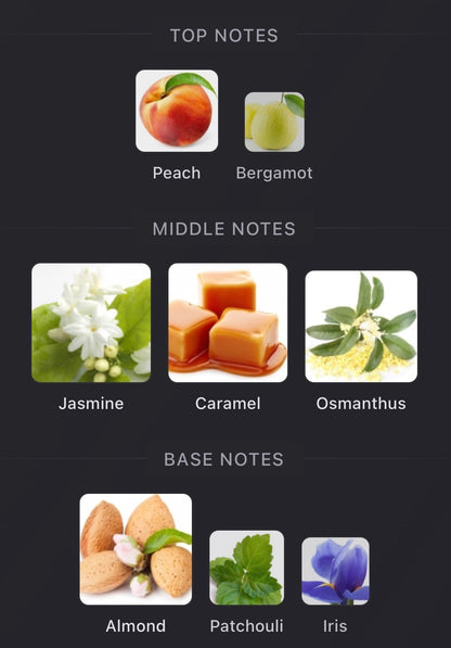 Gissah Martinique Osmanthus (Pre-order)