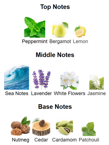 Fragrance Du Bois London Spice