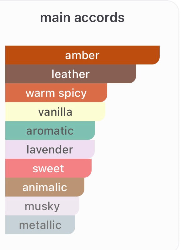 YSL 6 Place Saint Sulpice