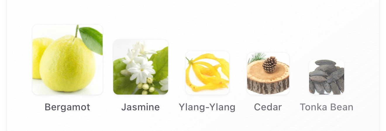 Essential Parfums Nice Bergamote