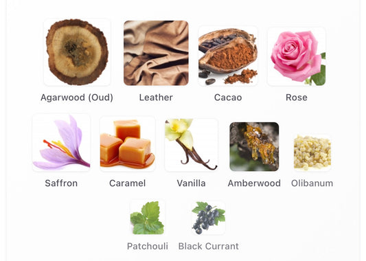 Louis Vuitton Nouveau Monde