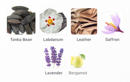 YSL 6 Place Saint Sulpice