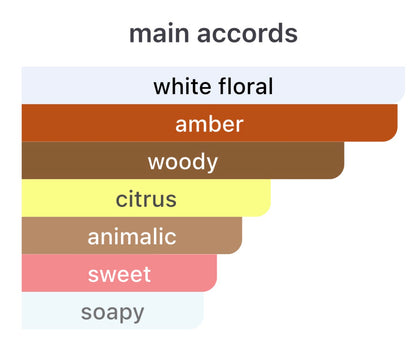 Louis Vuitton Stellar Times