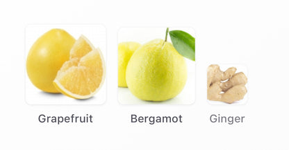 Louis Vuitton Symphony