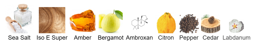 J.U.S. Parfums Ambraser