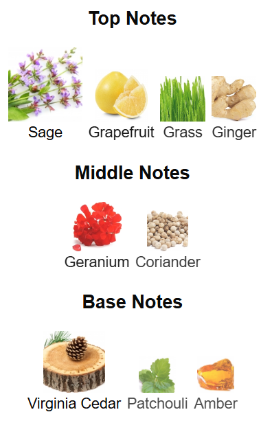 Lili Bermuda 64* West