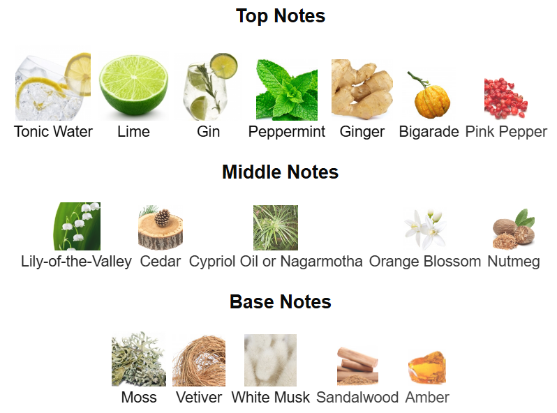 M. Micaleff GnTonic