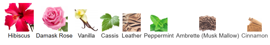 Maison Crivelli Hibiscus Mahajad