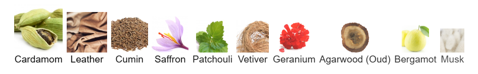 Memo Paris African Leather