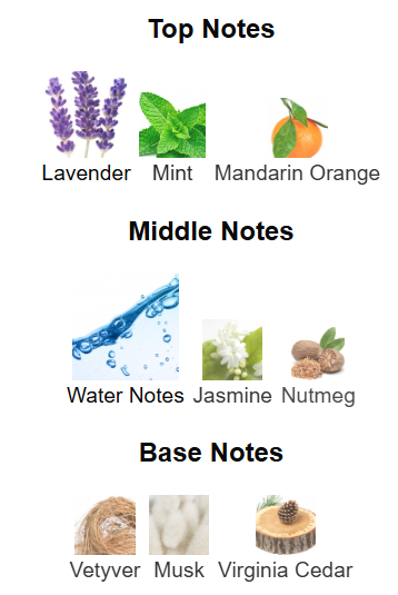 Lili Bermuda 32* North EDP