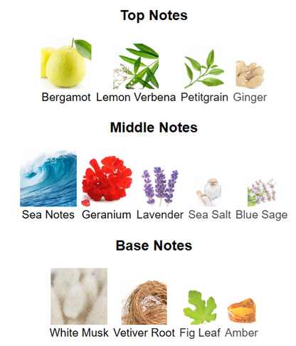 Lili Bermuda Nautilus EDP